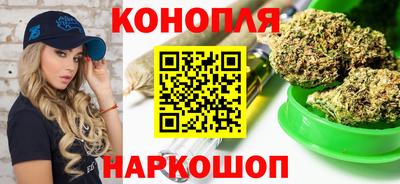стаф Кунгур