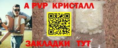 стаф Кунгур
