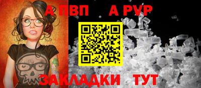 стаф Кунгур